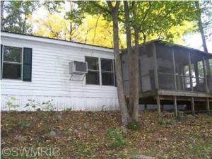907 Half Moon Dr, Stanton, MI 48888 photo 2