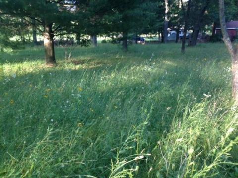 1849 S Sumac, White Cloud, MI 49349 photo 3