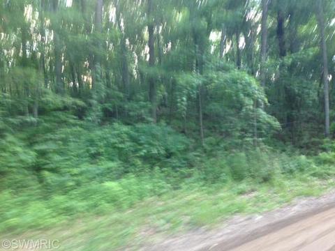 1849 S Sumac, White Cloud, MI 49349 photo 1
