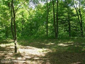 5820 E Loop Rd, Hesperia, MI 49421 photo 10