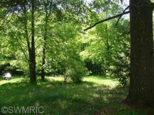 5820 E Loop Rd, Hesperia, MI 49421 photo 14