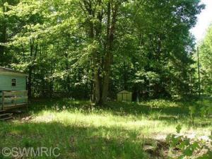 5820 E Loop Rd, Hesperia, MI 49421 photo 11