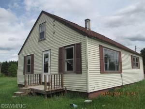 1502 N Thornapple Ave, White Cloud, MI 49349 photo 1