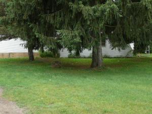 27773 M 60 Hwy, Mendon, MI 49072 photo 10