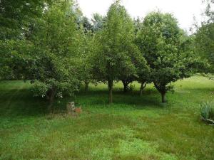 27773 M 60 Hwy, Mendon, MI 49072 photo 16