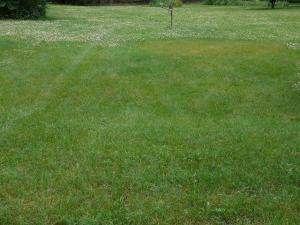 27773 M 60 Hwy, Mendon, MI 49072 photo 20