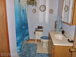 12933 E D Ave, Augusta, MI 49012 photo 20
