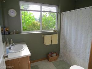 1348 Centennial Ct, Plainwell, MI 49080 photo 13