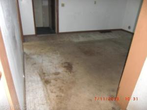 63 N Third St, Pierson, MI 49339 photo 3