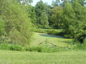 10908 North Riv, Constantine, MI 49042 photo 7