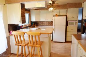 176 Exchange St, Grant, MI 49327 photo 14