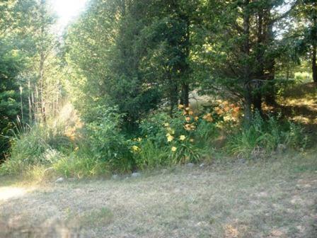 2789 E Jackson Rd, Hart, MI 49420 photo 8