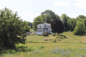 17020 White Rd, Bailey, MI 49303 photo 18