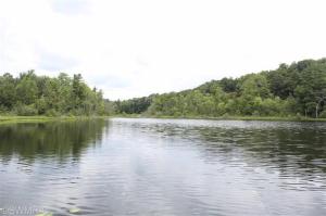 17020 White Rd, Bailey, MI 49303 photo 23