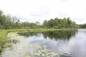 17020 White Rd, Bailey, MI 49303 photo 22