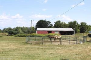 17020 White Rd, Bailey, MI 49303 photo 2