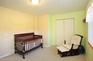 172 14th St, Plainwell, MI 49080 photo 11