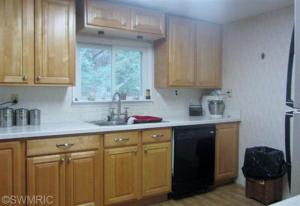 5108 Sandy Run Rd, Sears, MI 49679 photo 3