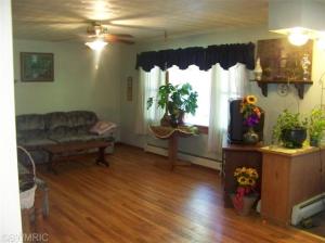 65656 Robinson Rd, Cassopolis, MI 49031 photo 5