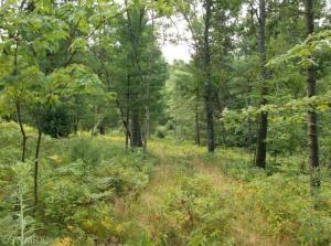 2524 40th St, White Cloud, MI 49349 photo 14