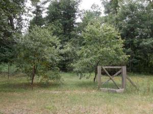 2524 40th St, White Cloud, MI 49349 photo 4