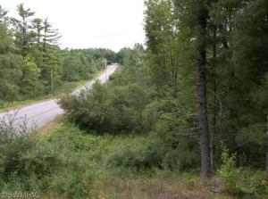 2524 40th St, White Cloud, MI 49349 photo 13