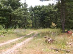 2524 40th St, White Cloud, MI 49349 photo 5