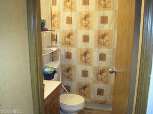 2524 40th St, White Cloud, MI 49349 photo 21