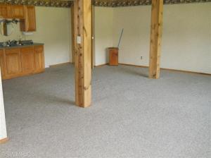 13797 Belding Rd NE, Belding, MI 48809 photo 17