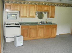 13797 Belding Rd NE, Belding, MI 48809 photo 16