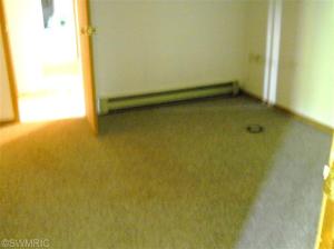 13797 Belding Rd NE, Belding, MI 48809 photo 22