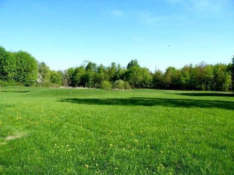 10368 Ellis Rd, Belding, MI 48809 photo 2