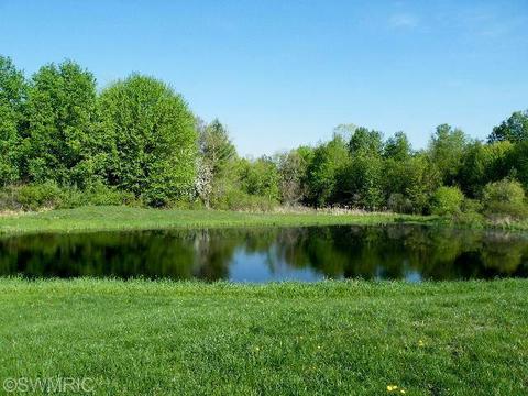 10368 Ellis Rd, Belding, MI 48809 photo 3