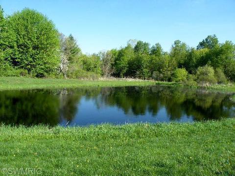 10368 Ellis Rd, Belding, MI 48809 photo 4