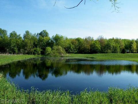 10368 Ellis Rd, Belding, MI 48809 photo 5
