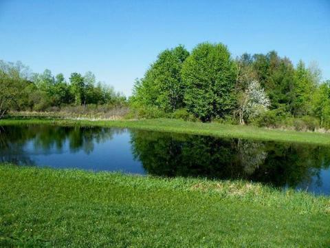 10368 Ellis Rd, Belding, MI 48809 photo 6