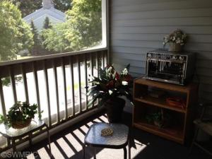 362 Boyer Ct, Marshall, MI 49068 photo 16