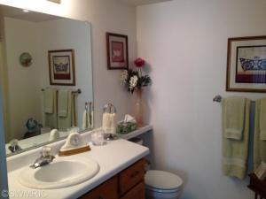 362 Boyer Ct, Marshall, MI 49068 photo 15