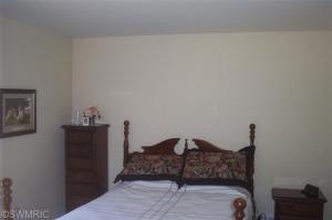 7501 64th, Chase, MI 49623 photo 5