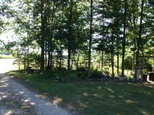 4181 N Elm Ave, White Cloud, MI 49349 photo 12