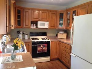 4181 N Elm Ave, White Cloud, MI 49349 photo 2