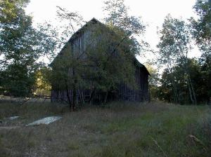 3209 E Hawley Rd, Custer, MI 49405 photo 14