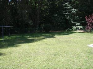 223 Brown St, Belding, MI 48809 photo 12