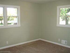 223 Brown St, Belding, MI 48809 photo 5