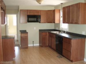 223 Brown St, Belding, MI 48809 photo 2