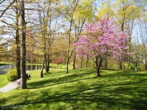 20796 Lost, Cassopolis, MI 49031 photo 11