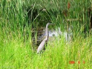 20796 Lost, Cassopolis, MI 49031 photo 16
