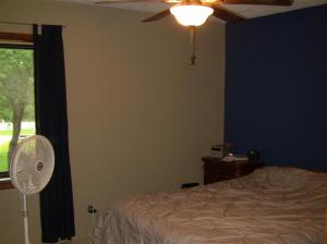 3788 E Shore Dr, Stanton, MI 48888 photo 13
