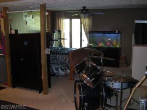 3788 E Shore Dr, Stanton, MI 48888 photo 14