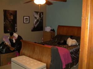 3788 E Shore Dr, Stanton, MI 48888 photo 9